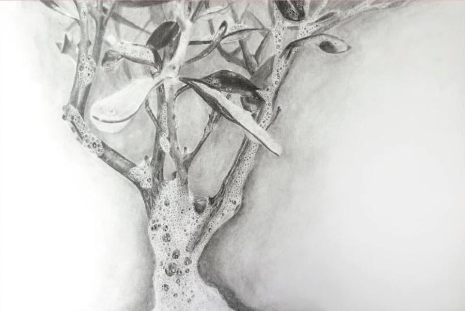 Art Jameel - Dalia Baassiri, White Olive (2024)