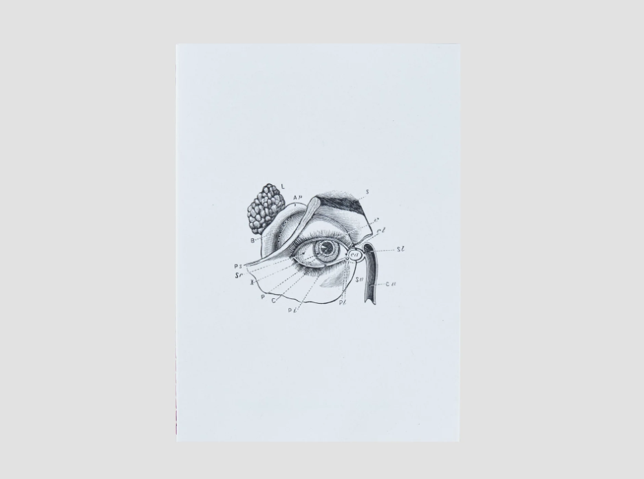 Art Jameel - Sara Naim, La Lumière Zine