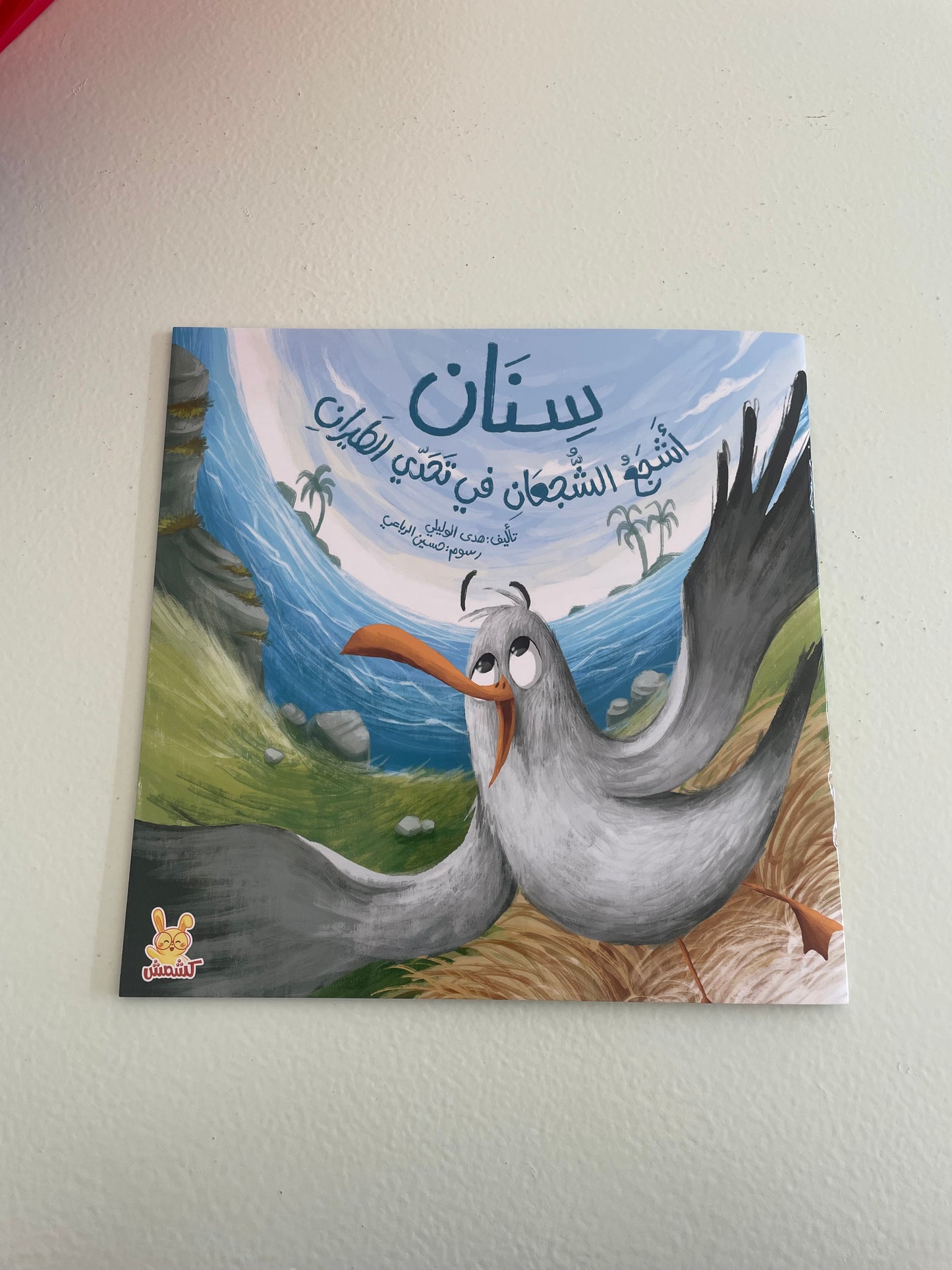 سنان اشجع الشجعان في تحدي الطيران book