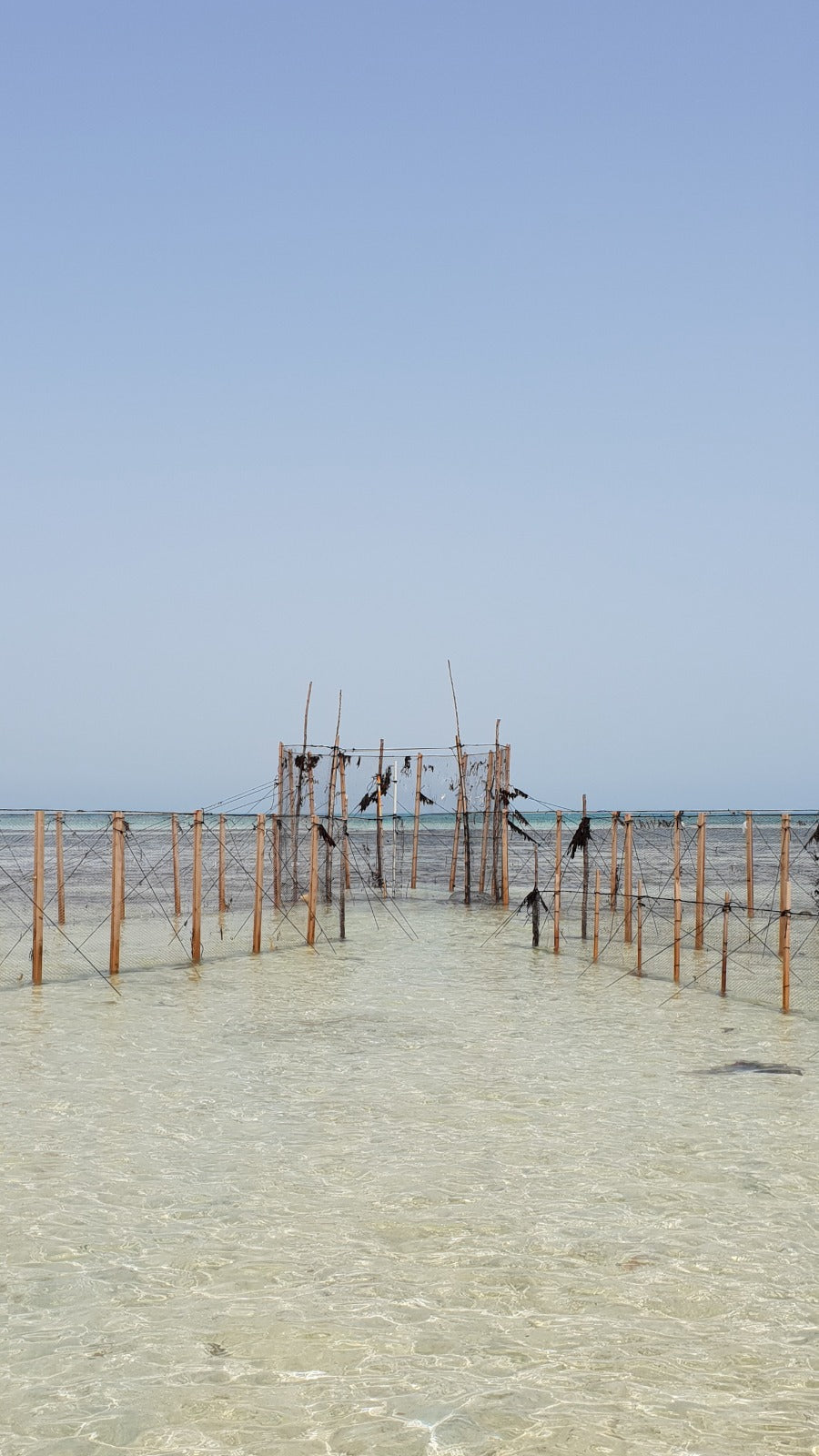 It's in the Water, It's Everywhere?