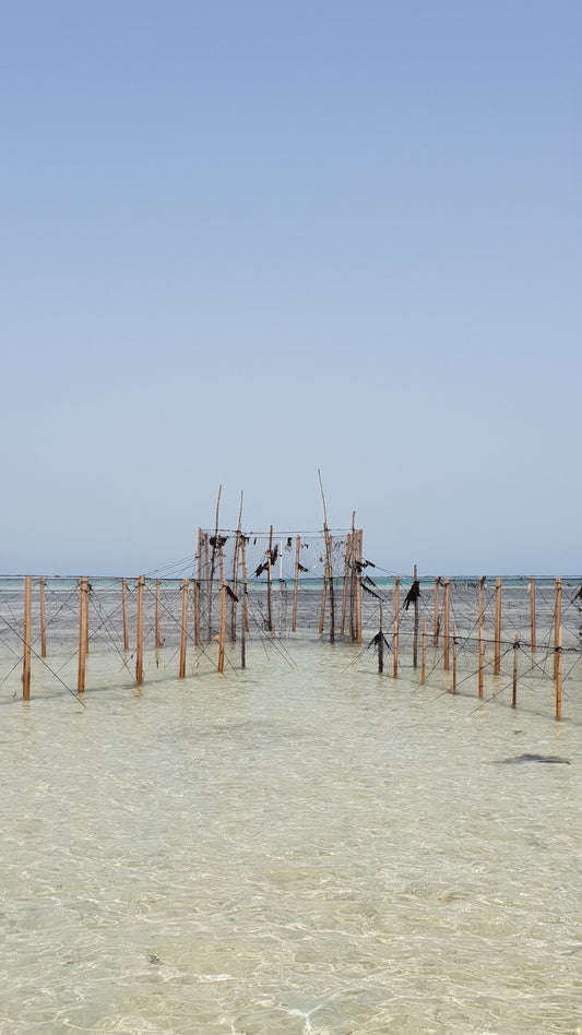 It's in the Water, It's Everywhere?