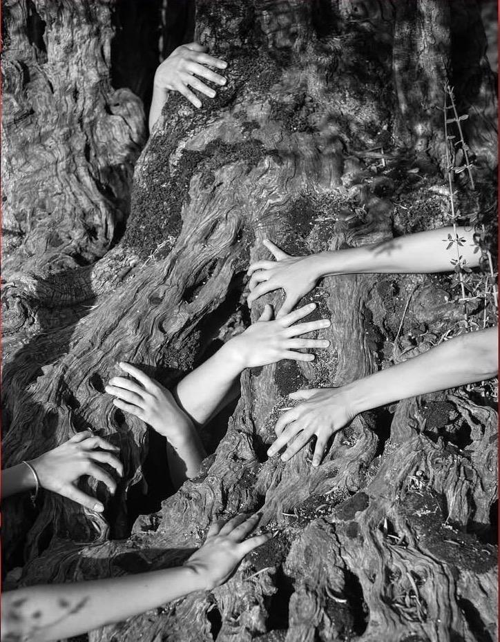 Art Jameel - Tamara Kalo, Millenary Witness (2024)