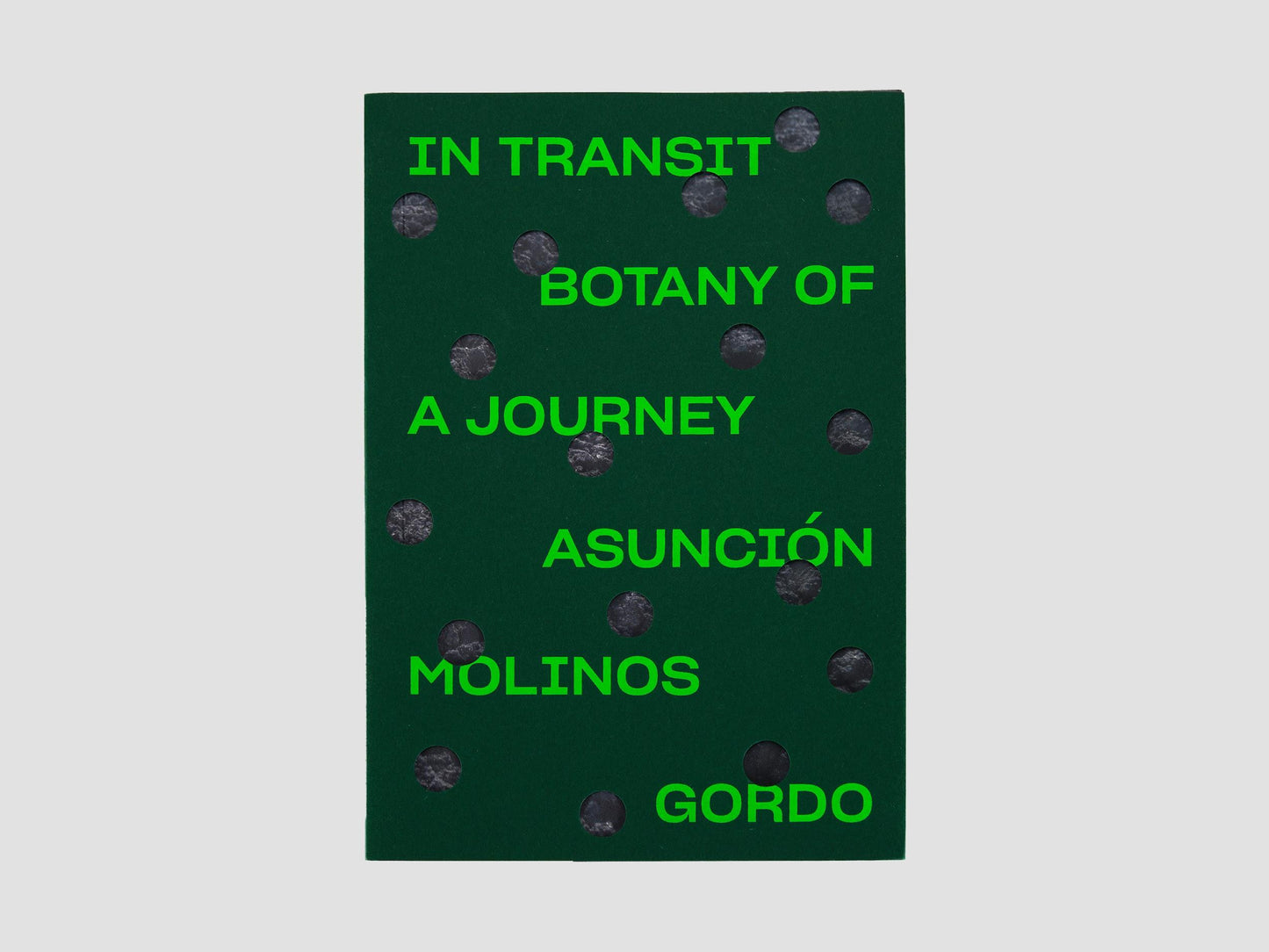 Art Jameel - In Transit: Botany of a Journey
