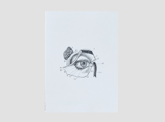Art Jameel - Sara Naim, La LumiÃ¨re Zine
